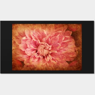 Dahlia Flames Posters and Art